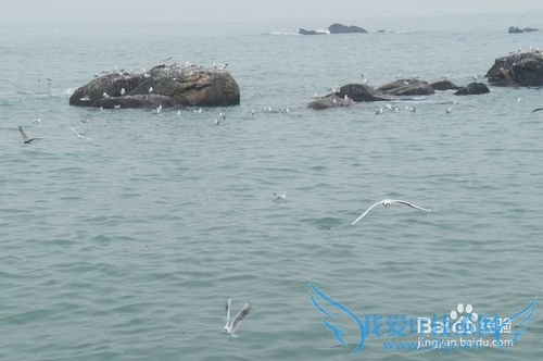 青岛五一游玩攻略