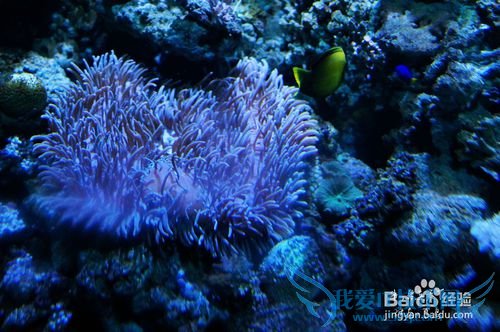 青岛五一游玩攻略