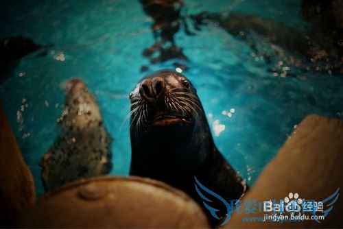 青岛五一游玩攻略