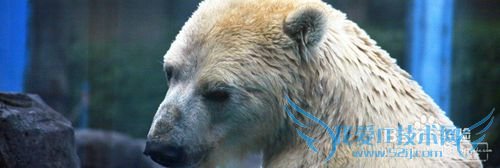 青岛五一游玩攻略