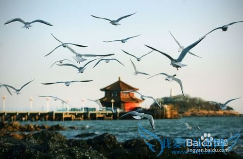 青岛五一游玩攻略