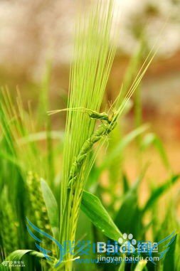 五一小长假我们该怎样度过