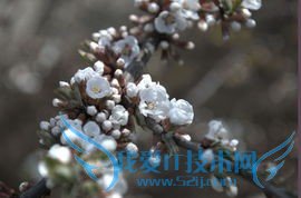 五一小长假我们该怎样度过