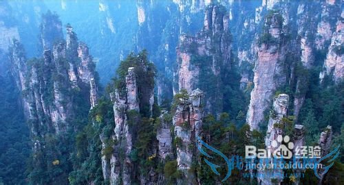 五一张家界旅游攻略