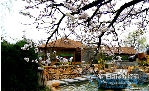 Îåһƴ¼Ù³öÓÎɽ¶«ÂÃÓÎ