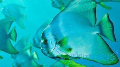 如何在大学找兼职