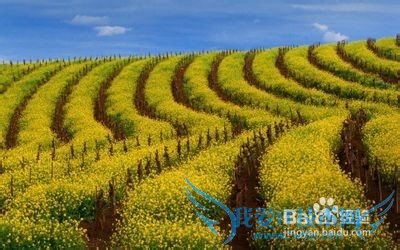 如何在大学找兼职