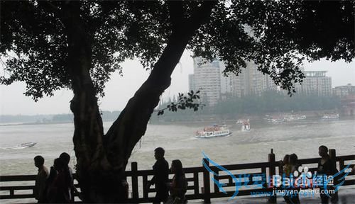 乐山大佛旅游经验