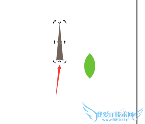 CorelDRAW̳̣ƻ֦Ҷƻ