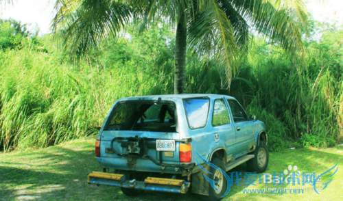 夏天汽车上应注意的一些细节