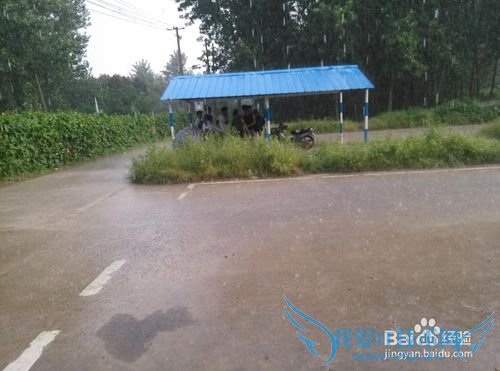 如何选择驾校考驾照?