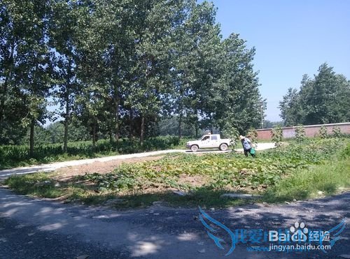 如何选择驾校考驾照?