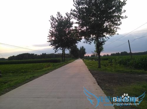 如何选择驾校考驾照?