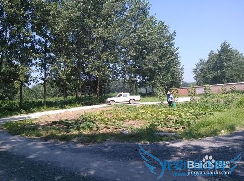 如何选择驾校考驾照?