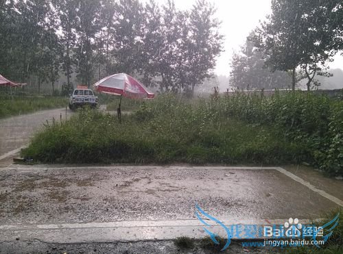 如何选择驾校考驾照?