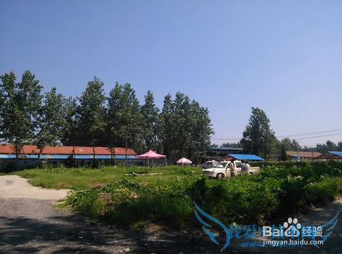 如何选择驾校考驾照?