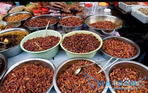 凤凰张家界自助游攻略