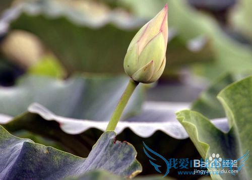 当遇到大学的“无聊”你该怎么办