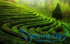 2016社区医疗保险最新政策规定有哪些?