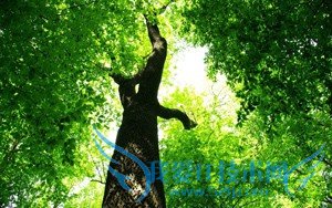 2016社区医疗保险最新政策规定有哪些?