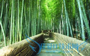 2016社区医疗保险最新政策规定有哪些?