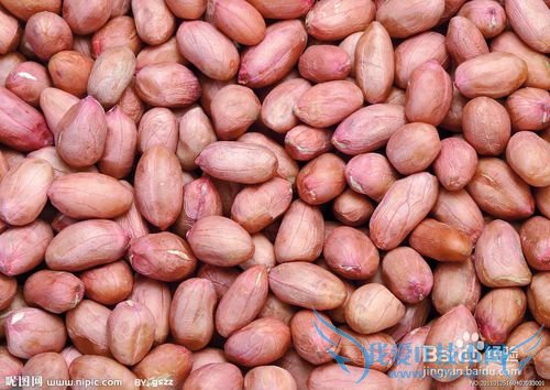 腊八粥的材料有哪些?怎么煮腊八粥?