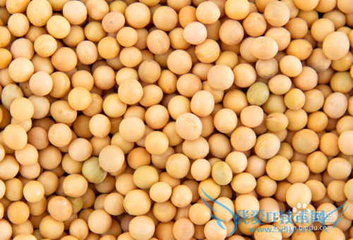 腊八粥的材料有哪些?怎么煮腊八粥?