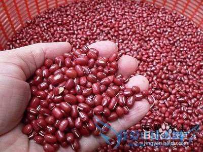 腊八粥的材料有哪些?怎么煮腊八粥?