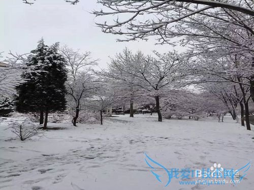 圣诞节平安夜的小结: