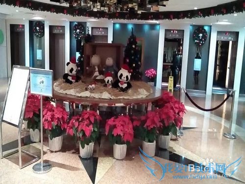 圣诞节平安夜的小结: