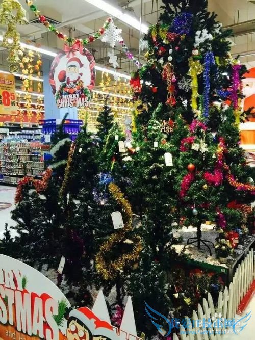 圣诞节平安夜的小结: