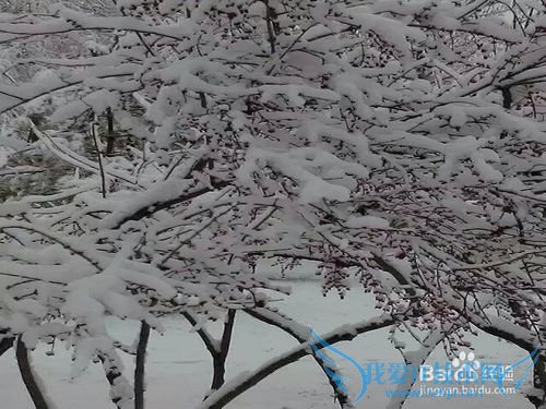 圣诞节平安夜的小结: