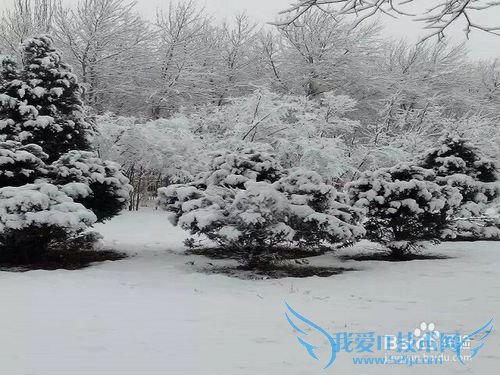 圣诞节平安夜的小结: