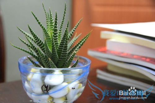 如何在朋友面前做一个高逼格的人?