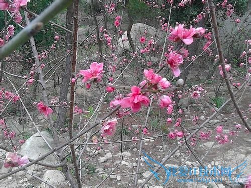 汕头有什么好玩的地方