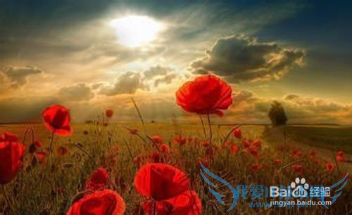 怎样让她有一个难忘的生日