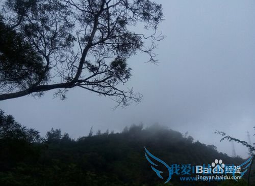 深圳白领周末到惠东双月湾自驾游攻略