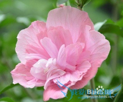 了解韩国的入门小知识