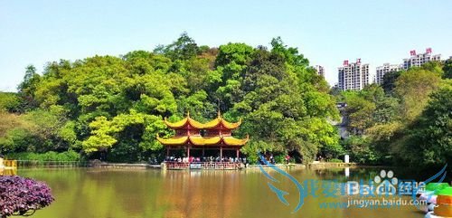 周末去哪儿玩(湖南大学版)