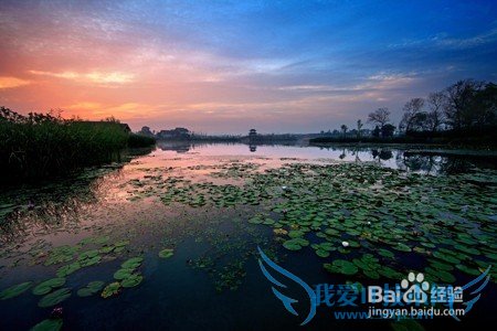 周末去哪儿玩(湖南大学版)