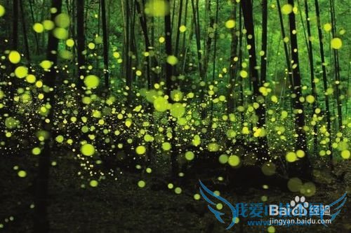 周末去哪儿玩(湖南大学版)