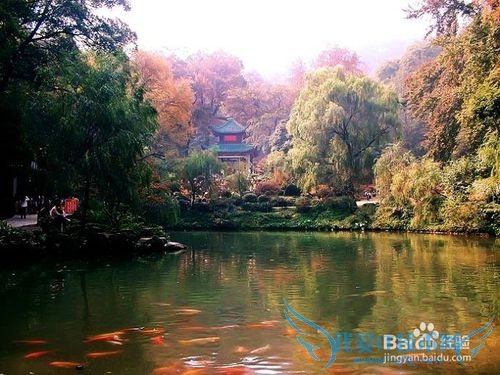 周末去哪儿玩(湖南大学版)