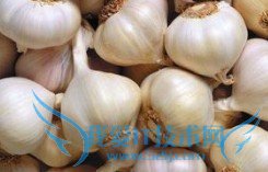 睡前不适宜吃的几种食物