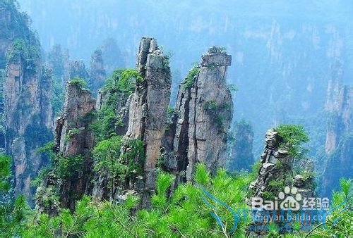 西安到张家界自驾游攻略(交通+线路+住宿+防骗)