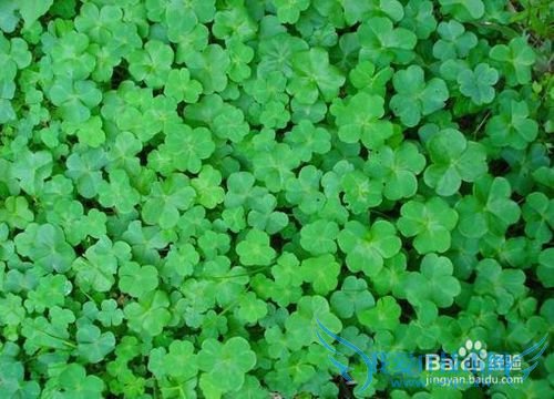 怎样才能尽可能多的知道女朋友喜欢什么?