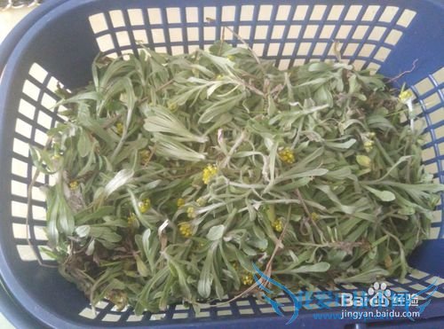 温州特色清明节清明饼青团棉菜饼的做法