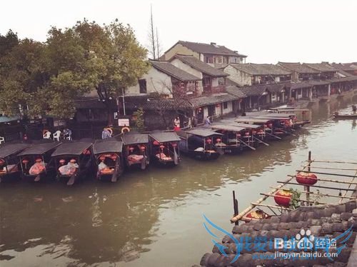 西塘旅游攻略2016年