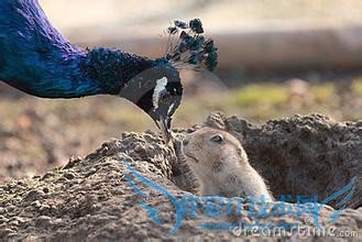 如何让女孩知道你喜欢她