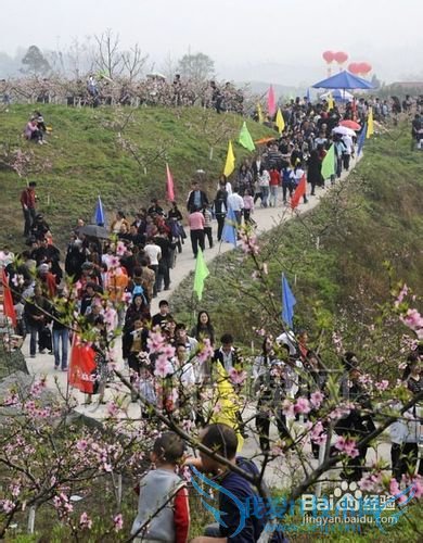 五一劳动节适合去哪里旅游?