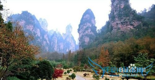 南阳到张家界自驾游